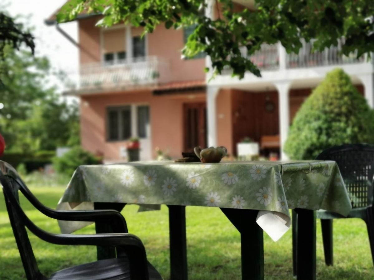Apartments Domacinstvo Nikolic Valjevo Kültér fotó