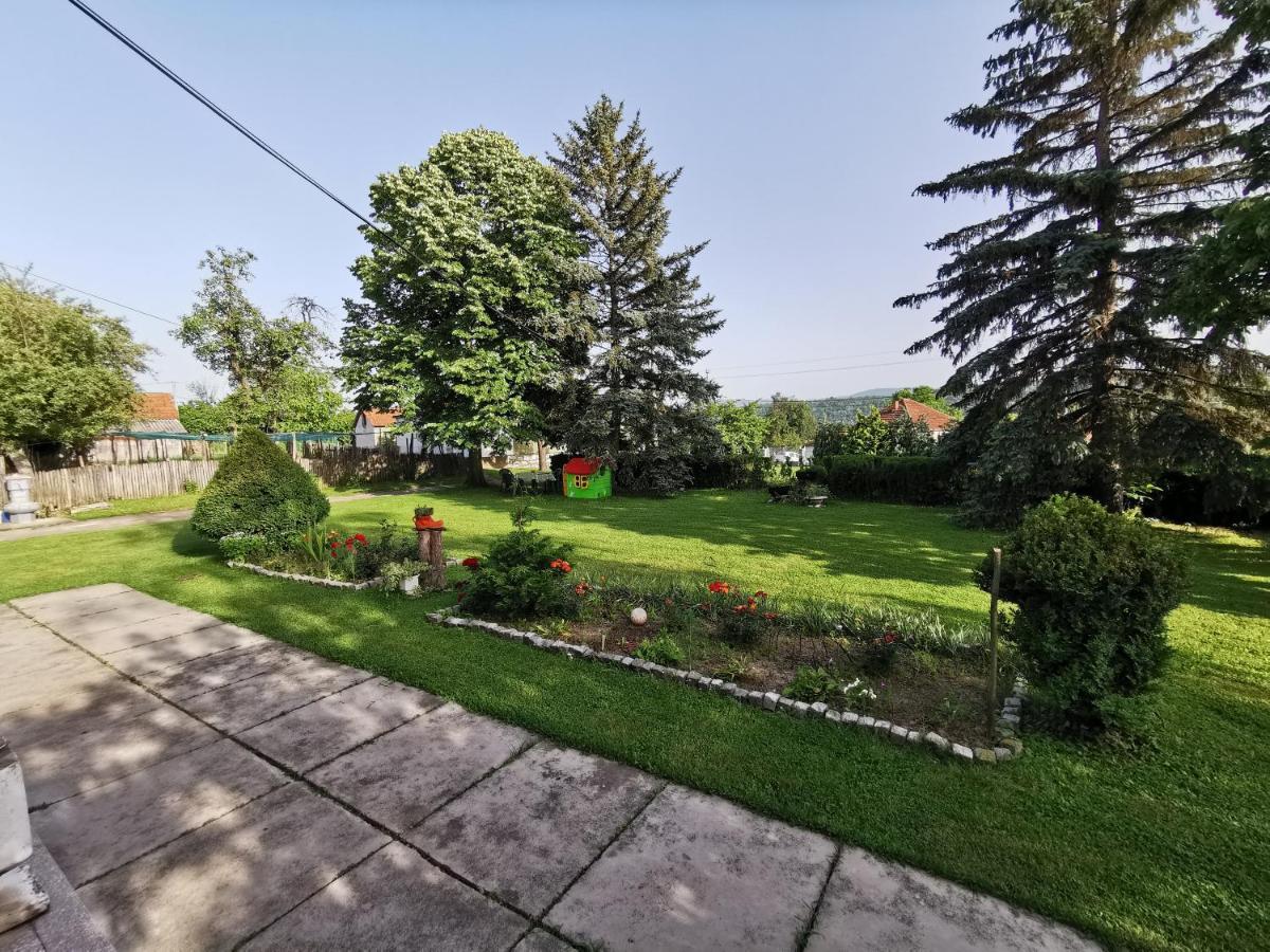 Apartments Domacinstvo Nikolic Valjevo Kültér fotó
