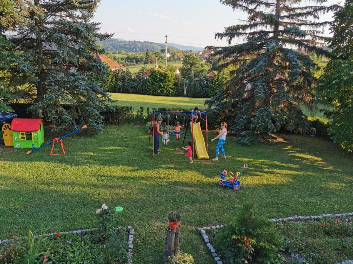 Apartments Domacinstvo Nikolic Valjevo Kültér fotó