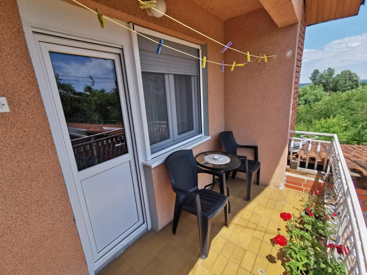 Apartments Domacinstvo Nikolic Valjevo Kültér fotó
