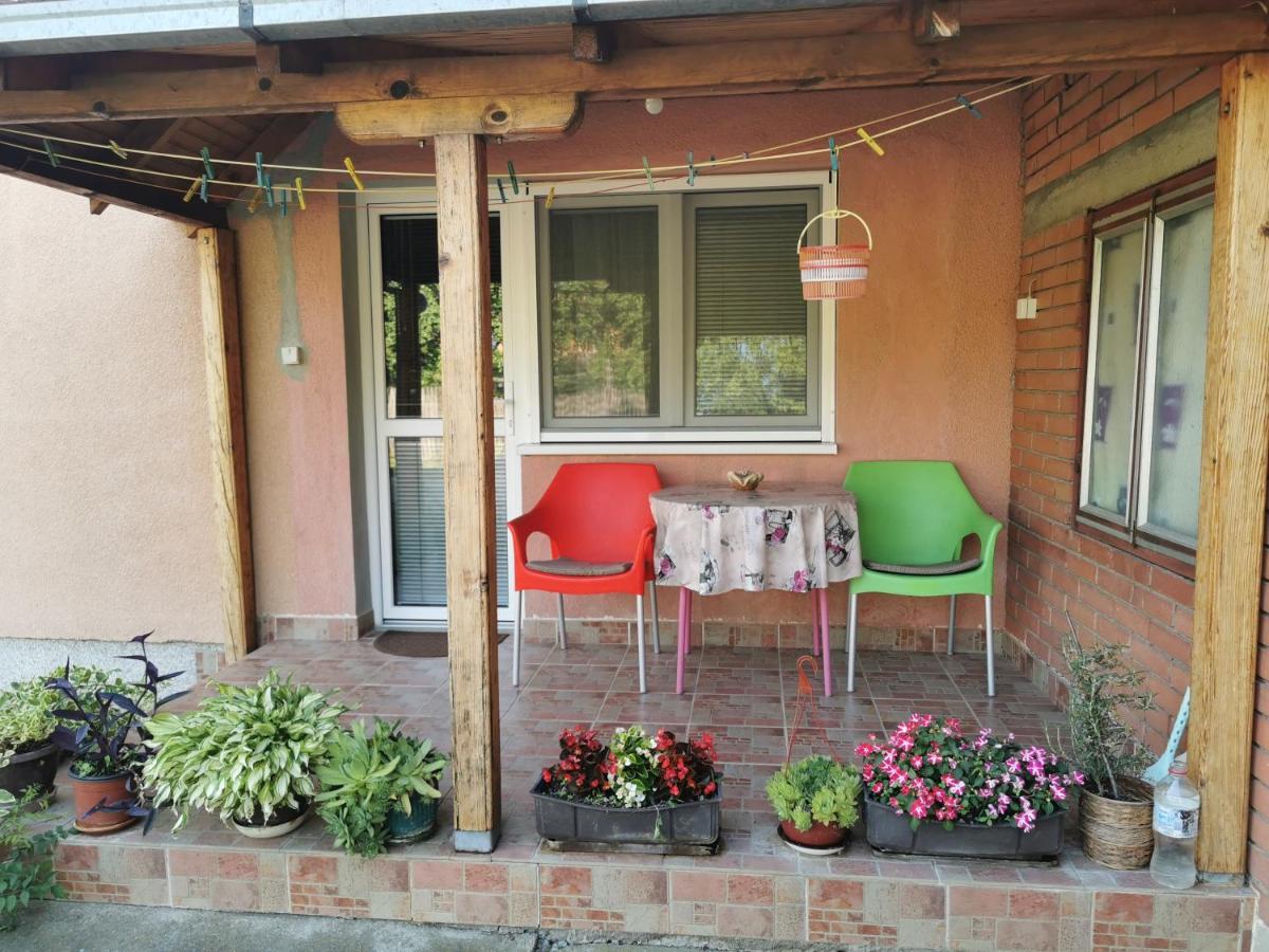 Apartments Domacinstvo Nikolic Valjevo Kültér fotó