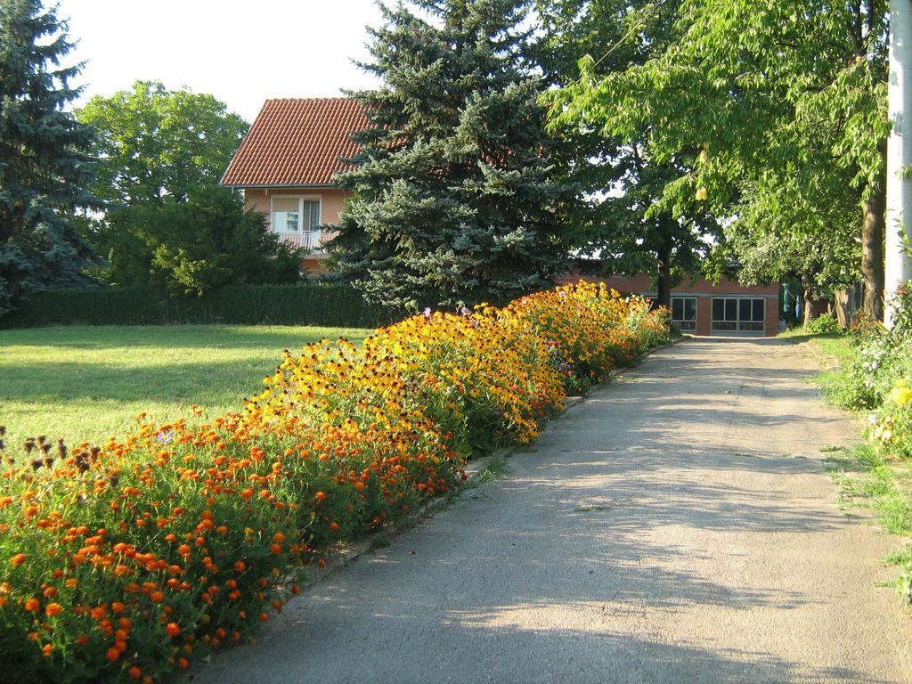 Apartments Domacinstvo Nikolic Valjevo Kültér fotó